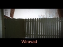Puitaed dekoratsiooniga